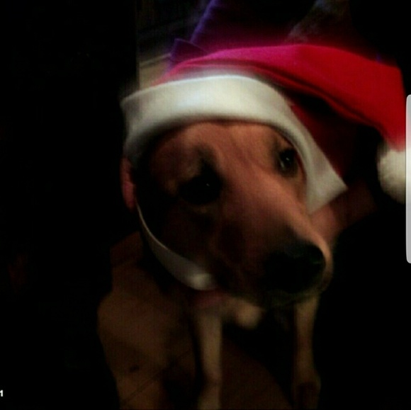 🍻🥂 now accepting offers on bundles - Picture 4 of 17